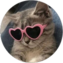 Олександра Богдан profile picture